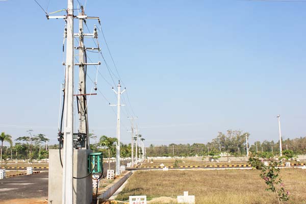 Akshaya bliss