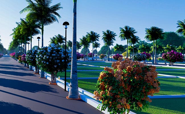 Avenue Plantation